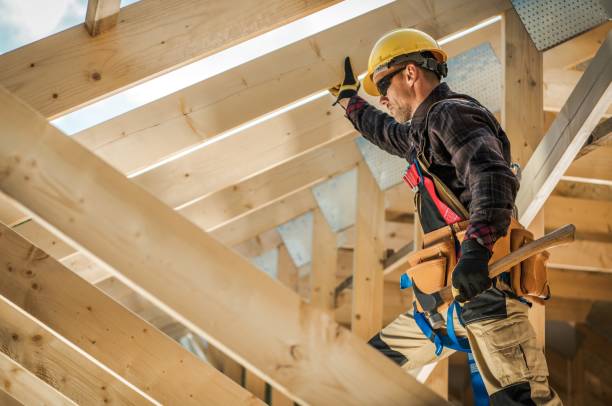Best Roof Gutter Cleaning  in Franklin, OH