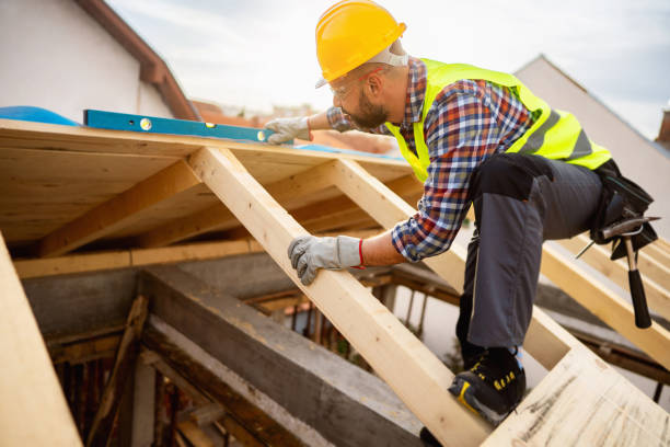 Best Roof Gutter Cleaning  in Franklin, OH